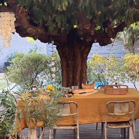 Casa 55 Vendégház